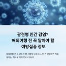 삼성동물종합병원 | 광견병 인간 감염? 해외여행 전 꼭 알아야 할 예방접종 정보
