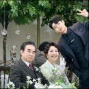 개인(강정숙) | 드라마추천 효심이네 각자도생 줄거리 등장인물 스포 x 후기