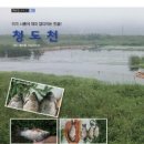 청도천10 이미지