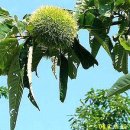 참좋은세상 이미지