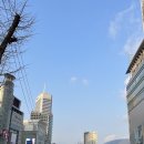 맹그로브 동대문 | 새로운 삶의 방식을 제안하는 코리빙 하우스, 맹그로브 동대문