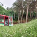 계룡숲작은도서관 이미지