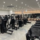 로얄바디짐 PT 백석점3호점 이미지