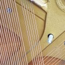 영창A단지 이미지