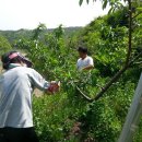 신안농장 이미지