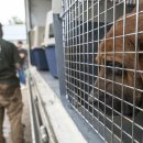 김성광 농장 이미지