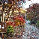 청풍마을펜션 이미지