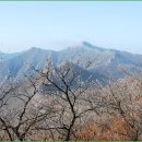 아름다운 산장 이미지