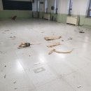 세원종합공사 - 성남시 분당구 내정로17번길 13 | 세원종합공사