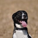 자양동물병원 이미지