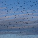 Sweet stay at Joy's | 하루 - 13