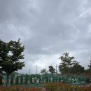 사천농협 하나로마트 사천점 | 사천 아이들과 함께 가기 좋은 캠핑장 와따캠핑장