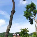 동원썬밸리 컨트리클럽 이미지