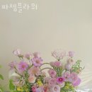 파쳄플라워 이미지