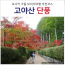 오사카여행 단풍코스 고야산 홍엽투어