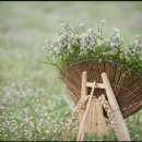 스포렉스사우나 이미지