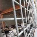 청계유통 이미지