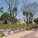 함평&#34;나비&#34; 대축제[2024년 4월 24일(음:3월 16일)일출 5시 46분.일몰19시15분] 이미지