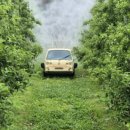 예산군농업기술센터 이미지