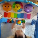 아이존(I-ZONE) | 2개월부터 사용하는 장난감: 아이존 아기체육관