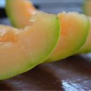 경주농장2 이미지