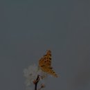당신의 노래방 이미지