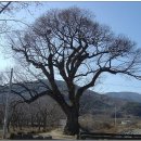 덕산초교 옆 이미지