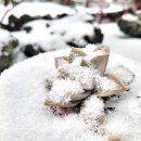 쌩텀펜션 이미지