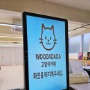 고양이카페 랙돌 네이버블로그
