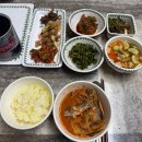 생활원예관리사 | 용인 수지 산후도우미, 위생부터 아기 케어까지 믿음 갔던 관리사님 후기