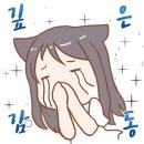 네오아카데미