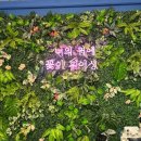 갤러리 | [배곧피어싱 맛집] 배곧피어싱갤러리 후기