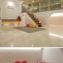 제니스펫 이미지