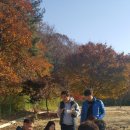 금오산 야영장 이미지