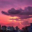 깻잎두마리치킨 이미지