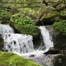 장구목이 펜션 이미지