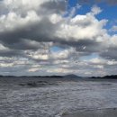 비금중학교 이미지