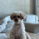 제주동광농수산 이미지