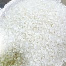 삼광농장 | 익산쌀 아들네미농장_ 쌀 20kg,쌀 5kg,쌀 10kg