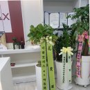 서동지앤비영어패럴랙스학원 | 지앤비패럴랙스 동대전캠퍼스에서 만난 가양동영어학원의 새로운 배움