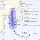 하이선 한국일보
