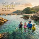 세븐일레븐 삼척문화거리점 | "한국의 나폴리"...강원도 삼척 갈남항, 스노쿨링 명소로 뜨는 진짜 이유