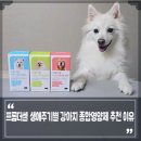 프롬퍼피 이미지