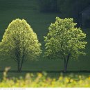 우리들세상 이미지