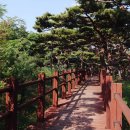 서포리관광지 이미지