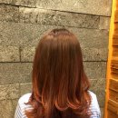 동탄hair염색