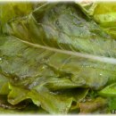 부산숯불갈비 이미지