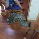 청솔(관) 이미지