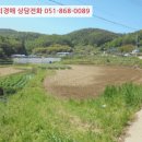 장골천 이미지