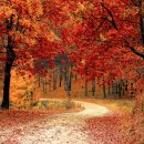 생기한의원 이미지